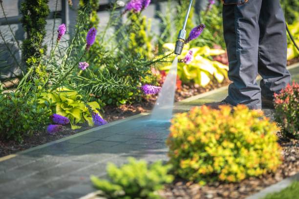 Best Parking Lot and Garage Cleaning  in Syracuse, UT